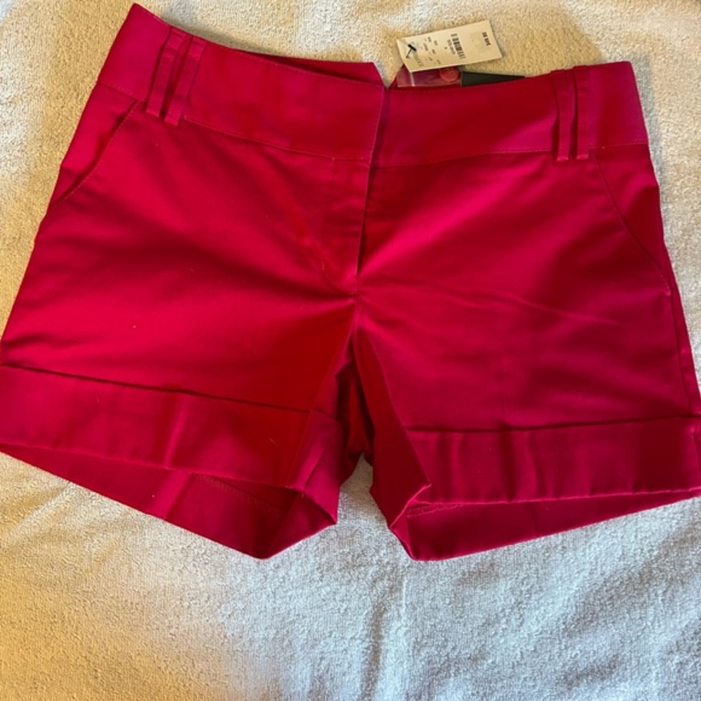 Express hot pink Shorts Vibrant Cotton Blend